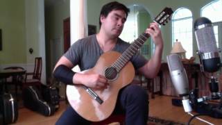 2012 Dake Traphagen guitar