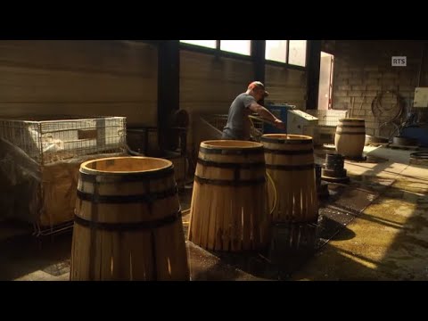 Vidéo: Bois de chêne de tonneaux à vin français transformé en chaise d'origine