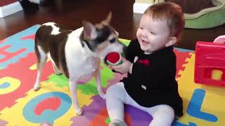 Cute and Funny Baby Playing Outdoor with pets Cutest Babies are here for you Latest 2022
