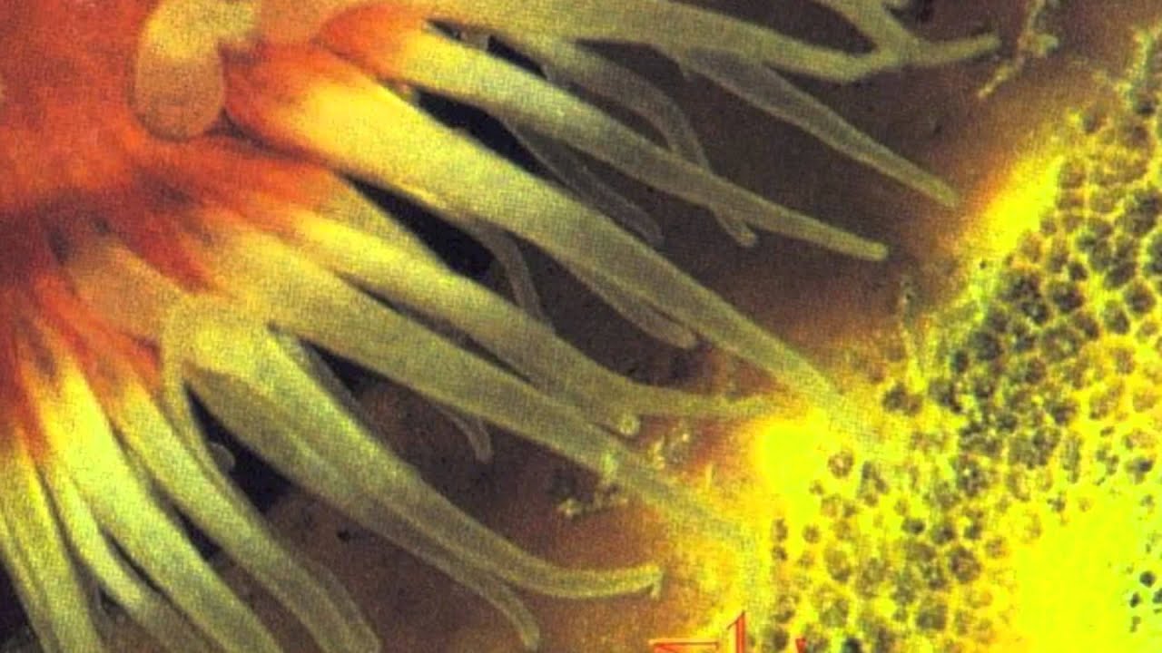 Buck Jones: Underground Crown