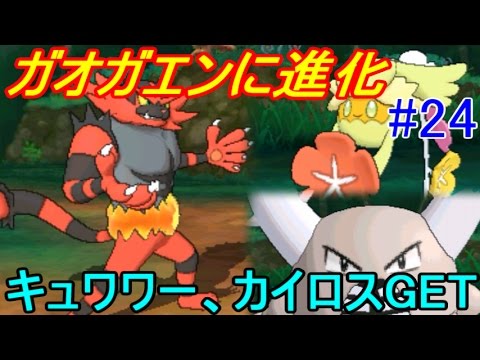 ポケットモンスター サン ムーン 全種コンプします ２４ ガオガエンに進化 キュワワー カイロスなどゲット Kazuboのゲーム実況 Youtube