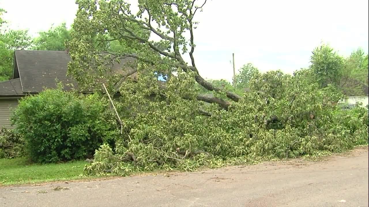 Storm downs trees, prompts rescue - YouTube