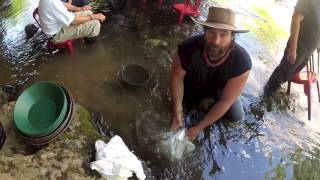 Gold Panning Angels Camp