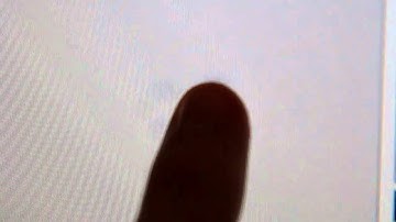 Computer "Bug"! There