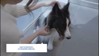 Download lagu Introducing IntoVET GE, a comprehensive management system for Chinese animal hospitals