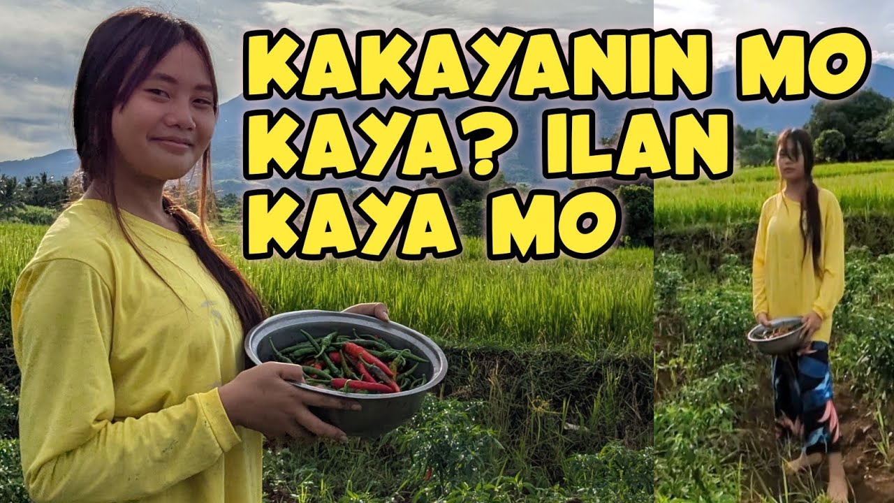 ILAN ANG KAYA MO ? ANG DIWATA SA PAANAN NG ISAROG
