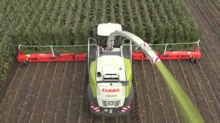 DÃ¼nyanÄ±n En RahatlatÄ±cÄ± Videosu !  0 ãƒ„