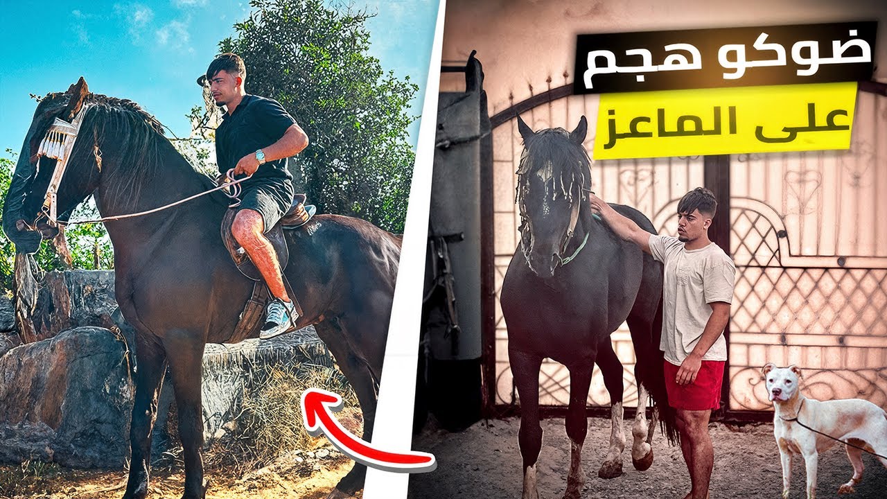 يوم جديد🤩قضينا يوما كاملا في المزرعة🌲قمنا بتغير الصفائح للخيول🐴أو ضوگو مسمكنش هجم على مسعود🦌