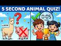 Animal Quiz: How Many Will You Get Right in 5 Seconds? 🐘