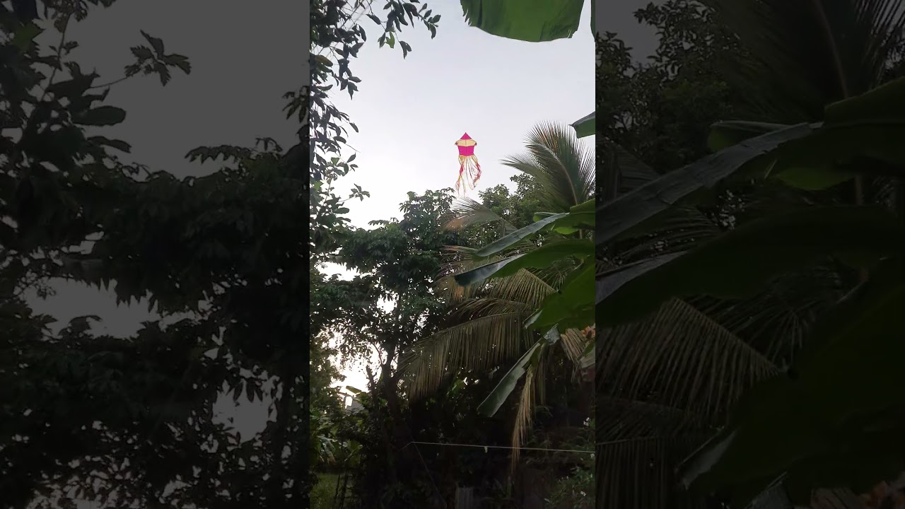 පාන්දර 5.30ට නැගිටලා සරුංගල් බාන අපි 