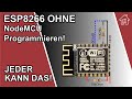 ESP8266 Programmieren OHNE Node-MCU Board | #EdisTechlab