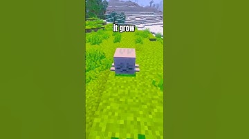 Did u get it? #minecraft #youtube #gaming #youtubegaming #ytgaming #shorts #short #foryou #yt #fyp