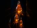 This Amber Has Been Rising Before You Noticed…