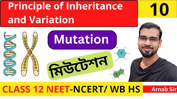 Principle of Inheritance and Variation 10 | Mutation | মিউটেশন | in Bengali | Class 12 NEET Biology