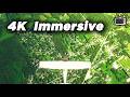 POV: Safe Haven | 4K Immersive Flight Above the Clouds