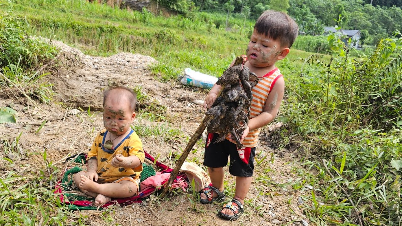 A single mother took her children to catch frogs to cook - YouTube