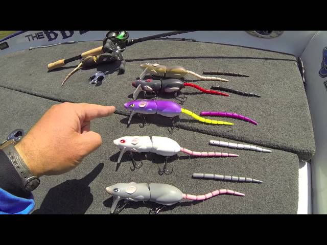 SPRO BBZ-1 Rat Colors Bill Siemantel 