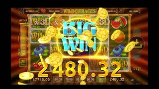 Wild Traces Игровой слот Rox Casino screenshot 4