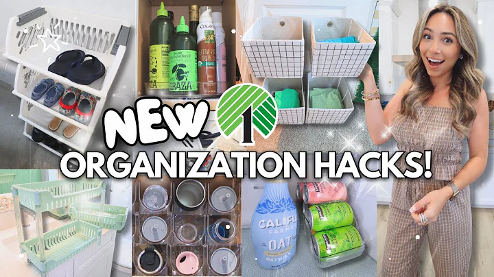 2025 DOLLAR TREE ORGANIZATION IDEAS! 💚 *NEW* Products for Home Organization on a Budget! 🏡 EXTREME!