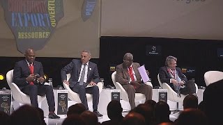 Forum Afrique Développement : les défis de l'agriculture et de l'électrification - focus