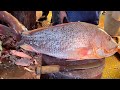 Incredible Big Red Snapper Fish Cutting In Fish Market | Fish Cutting Skills