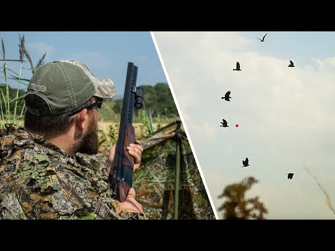 UK Crow Shooting | Filmed with ShotKam Gen 3