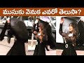 Actress Ileana Latest Funny Video | Ileana Dance Videos | Rajshri Telugu