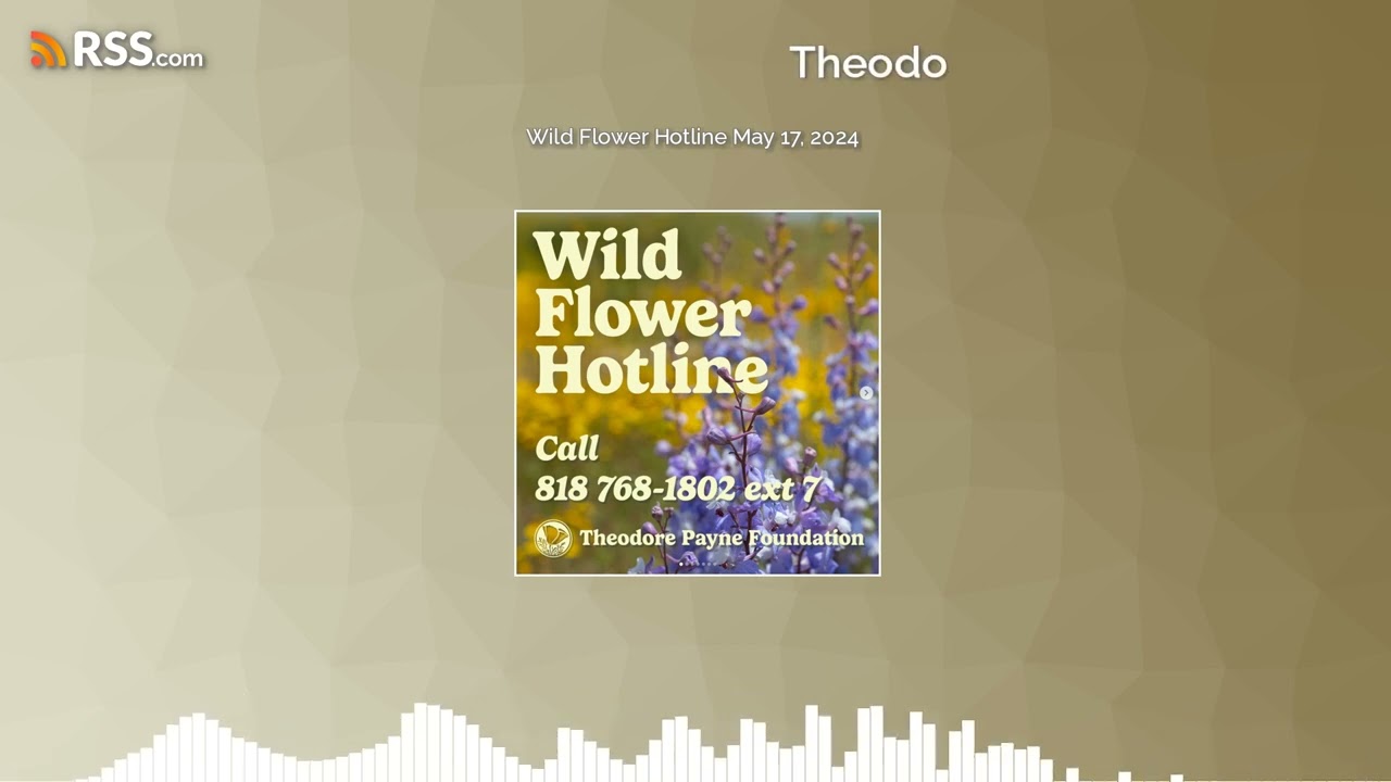 Wild Flower Hotline May 17, 2024