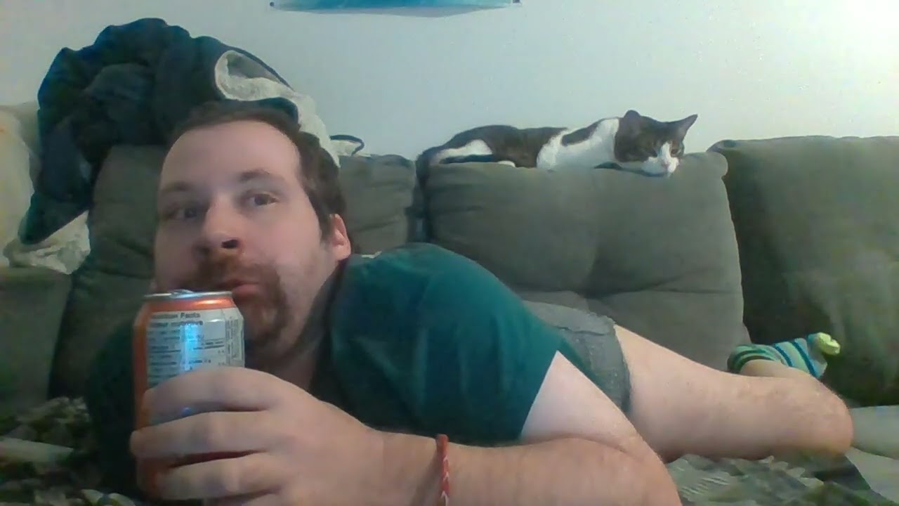 miss Vickie's sour cream herb and onion chip review