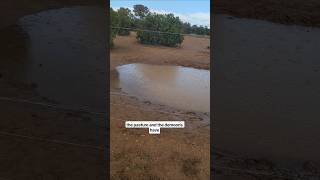 Free Water in the High Desert