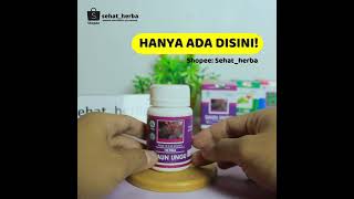 Kapsul Ekstrak Daun Ungu ASLI/ORIGINAL!! Obati Wasir