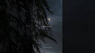 Tere Dil Pe Haq Mera Hewhatsapp Status Aesthetic Status New Status Love Status