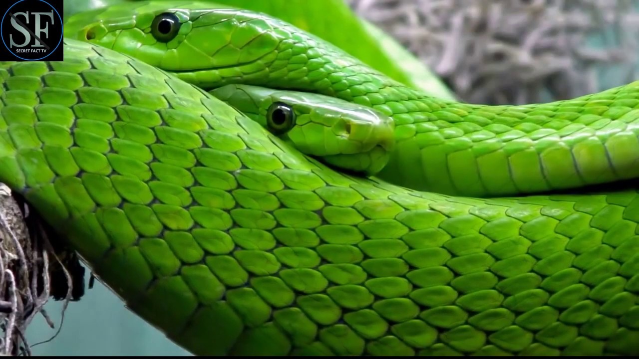 10 Scariest Places you wouldn't want to Visit YouTube