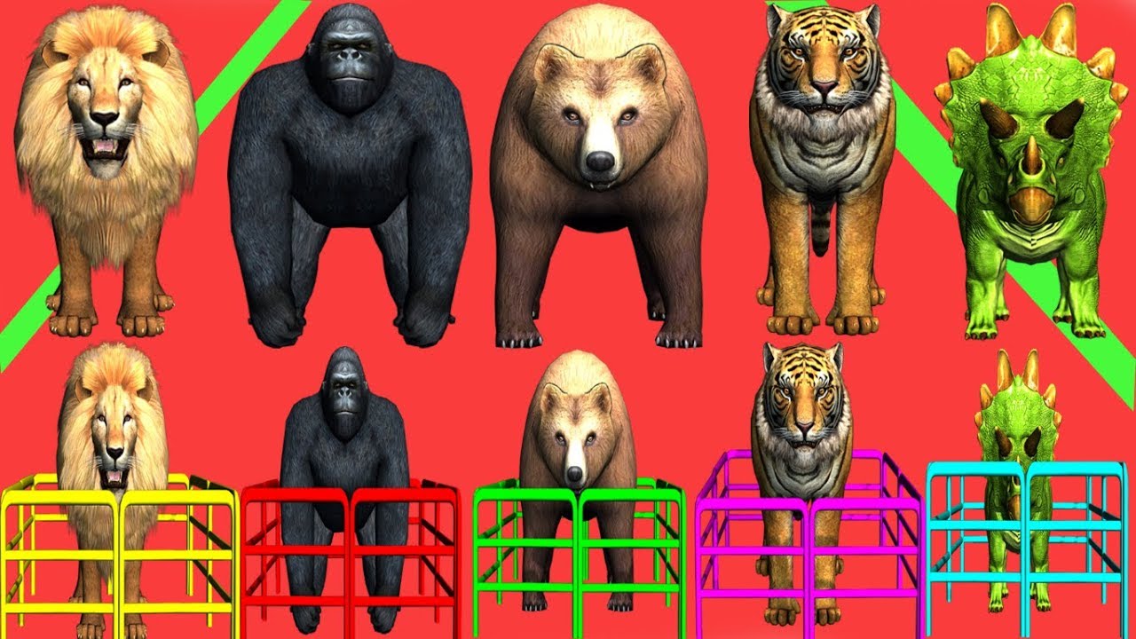 wild animals matching game for kids | nursery rhymes,children,toddlers