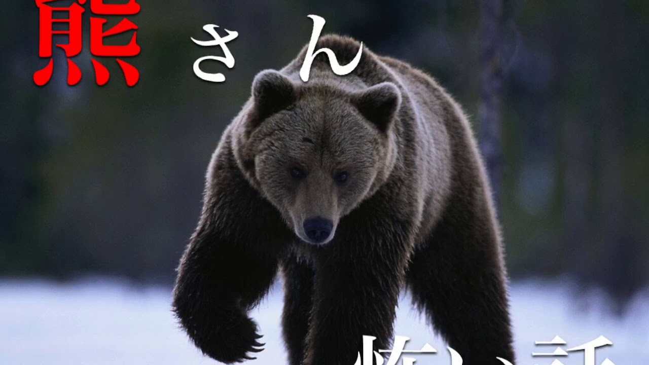 熊さん 動物の怖い話 音量注意 Youtube