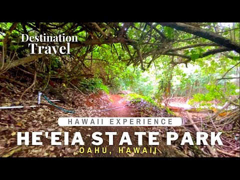 Video: He'eia State Park: The Complete Guide