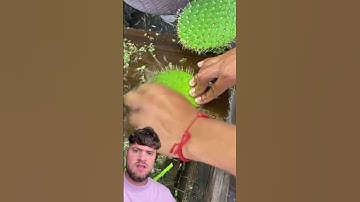 WELL YOU LEARN SOMETHING EVERYDAY #shorts