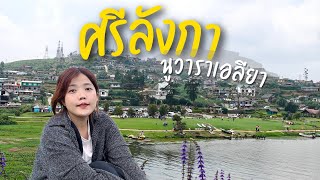 เที่ยวศรีลังกา - เมืองตากอากาศบนเขาสูง นูวาราเอลียา Nuwara Eliya ep2/3