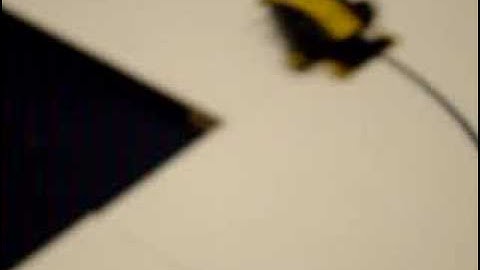 Hammerhead - 1st Place IEEE Region 5 Robot 