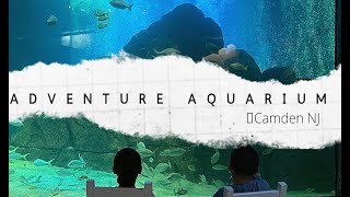 A Day Trip at Adventure Aquarium Camden NJ