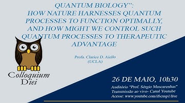 Colloquium Diei - Profa. Clarice D. Aiello (UCLA)