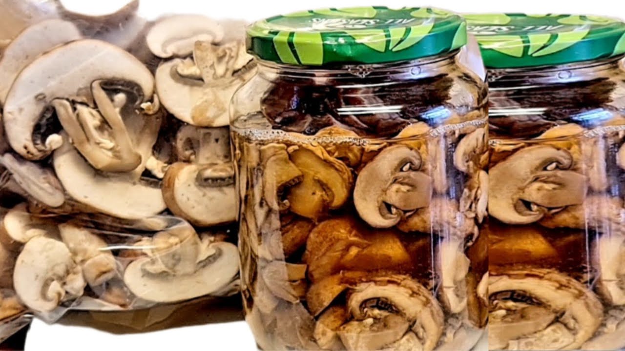 Comment  Conserver Les Champignons Au Congélateur Et Hors Du Congélateur