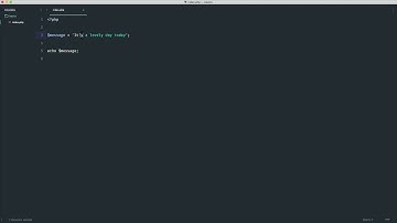 PHP Basics: Data types: Strings (7/35)