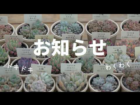 Online sales of seedlings], [Announcement of sales event], and