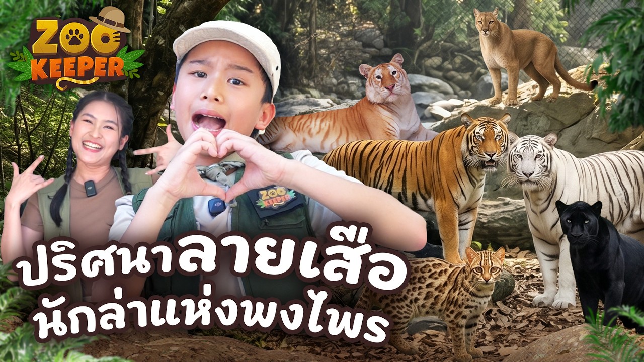 ปริศนาลายเสือ นักล่าแห่งพงไพร | Zookeeper