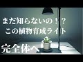 【植物育成用LEDライト】初心者にもオススメ！室内に太陽！はるデザイン「新型HASU38 Spec9」レビュー！コスパ最高室内管理も安心！観葉植物｜アガベ｜塊根植物｜多肉植物｜ビカクシダ｜エアプランツ