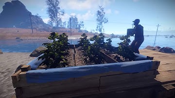 RUST Devblog 144/1