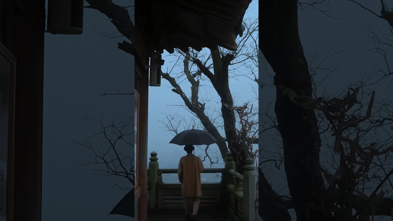 Can you hear the silence?