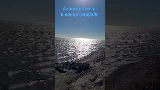 Шиловка. Шумел камыш. Азовское море... 28.02.2024