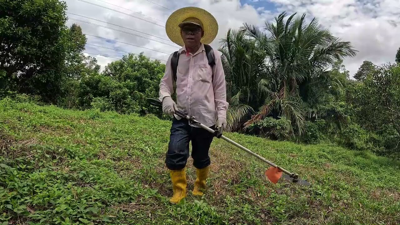 Kerja membersih tanah belum selesai.